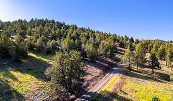 737 Raccoon Ln, Alturas, CA 96101