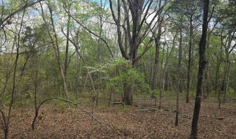 Cloverleaf Way lot 5, Antlers, OK 74523