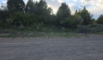 TBD 40 AC Arcadia Road, Ashton, ID 83440