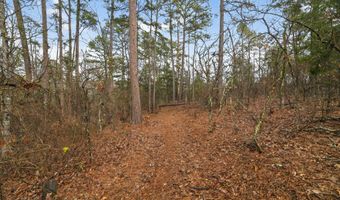 868 County Road 2920, Alba, TX 75410