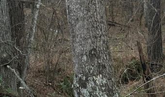 0- Lot 7 Piney Mountain Rd, Appomattox, VA 24522