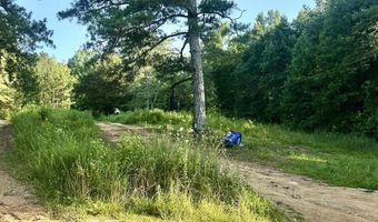 3707 Vaughn Rd, Altoona, AL 35952