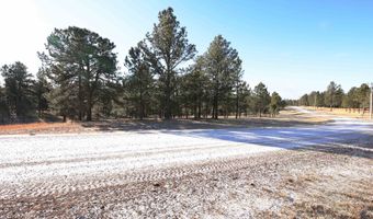 Tract 49 Hickok Drive, Hot Springs, SD 57747