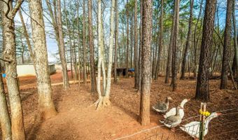3105 Horseshoe Rd, Appomattox, VA 24522