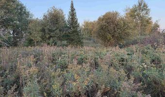 Lot 3 EAU CLAIRE RIVER ROAD, Aniwa, WI 54408