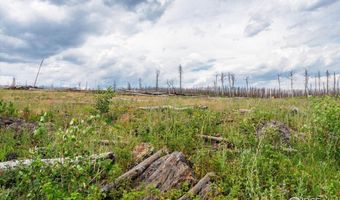 529 Quartz Rd, Bellvue, CO 80512
