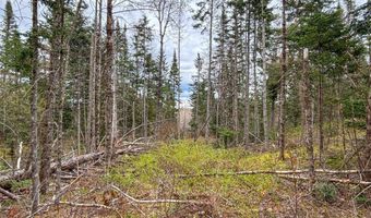 Atwood Road lot 4, Brighton, VT 05846