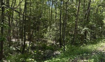 Washington Street lot 33 34 35, Barrington, NH 03825