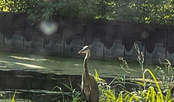 39450 N Circle Ave, Antioch, IL 60002