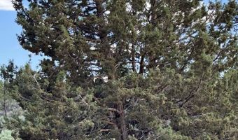 HWY 140 300, Beatty, OR 97621