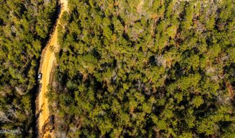 Rossville Avenue, Alford, FL 32420