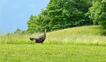 762 George Eggers Rd, Banner Elk, NC 28604
