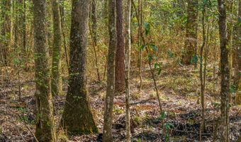 001 Old Stage Rd, Atmore, AL 36502