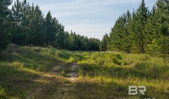 Flowers Road, Bay Minette, AL 36507