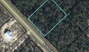 Grand Mesa Avenue, Alford, FL 32420