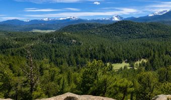 TBD County Road 59, Allenspark, CO 80510