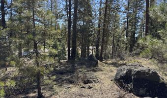 Horned Owl Way 385461, Bonanza, OR 97623