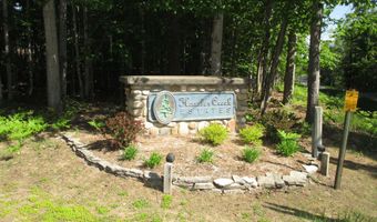 11190 Hassler Woods Trl, Alanson, MI 49706