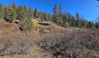 618 Quail Dr, Ahsahka, ID 83520