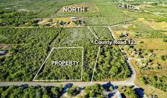 000 County Road 123, Alice, TX 78332