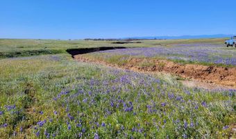 Leopard Dr, Anderson, CA 96007