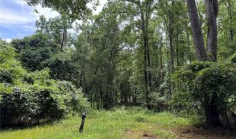 Tbd NW 67TH BOULEVARD, Alachua, FL 32615