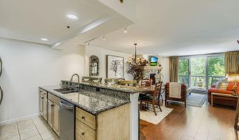 1120 Village Rd 204, Beaver Creek, CO 81620