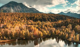 17261 N Rock Rose Ln, Chickaloon, AK 99674