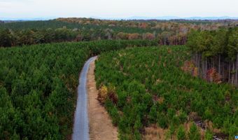 TBA RIDGE RD 1, Arvonia, VA 23004