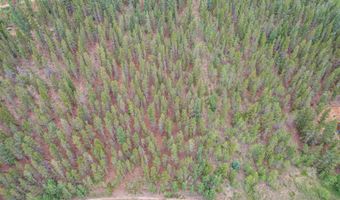 427 Wise Rd, Bailey, CO 80421