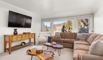 1041 Vine St, Aspen, CO 81611