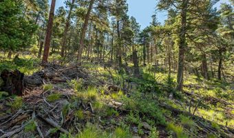 Vail Loop lot 400, Angel Fire, NM 87710