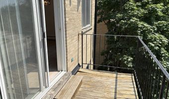 2424 E Oakton St 4F, Arlington Heights, IL 60004