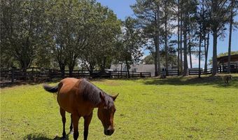 3204 Reavis Mountain Rd, Ball Ground, GA 30107