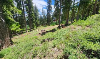 350 Snowshoe Rd, Bear Valley, CA 95223