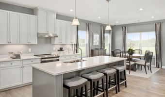 30500 Indigo Way Plan: Savannah with Basement, Georgetown, DE 19947