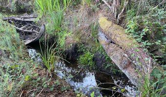 Bill Creek Ln, Bandon, OR 97411