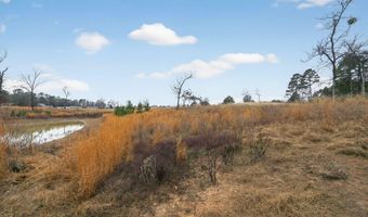 868 County Road 2920, Alba, TX 75410