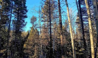 Lot 722 Santo Domingo Trail, Angel Fire, NM 87710