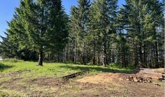 NW Lodge Rd, Banks, OR 97106