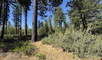 112 TIMBER Rd, Bickleton, WA 99322