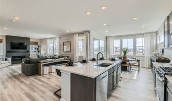 4223 Crestone Peak St Plan: Artisan 4, Brighton, CO 80601