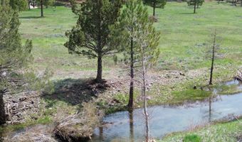 Roney Flat Road, Adin, CA 96006