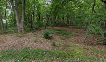 Roberts Avenue, Beverly Shores, IN 46301