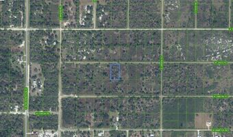 2419 W Jones Rd, Avon Park, FL 33825