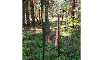 492 Sleepy Hollow Rd, Appleton, WA 98602