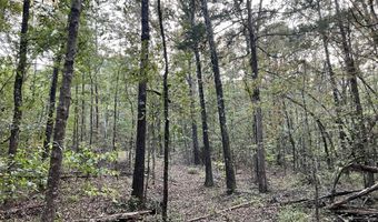 CR 225, Blue Springs, MS 38828