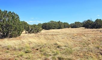 20 CO Rd, Concho, AZ 85924