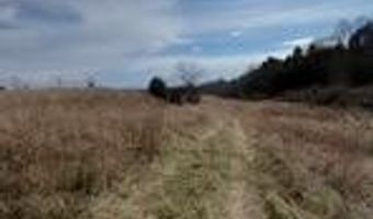 563 Moores Creek Greenhill Rd, Annville, KY 40402