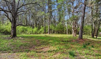 Harrisville Braxton Road, Braxton, MS 39044